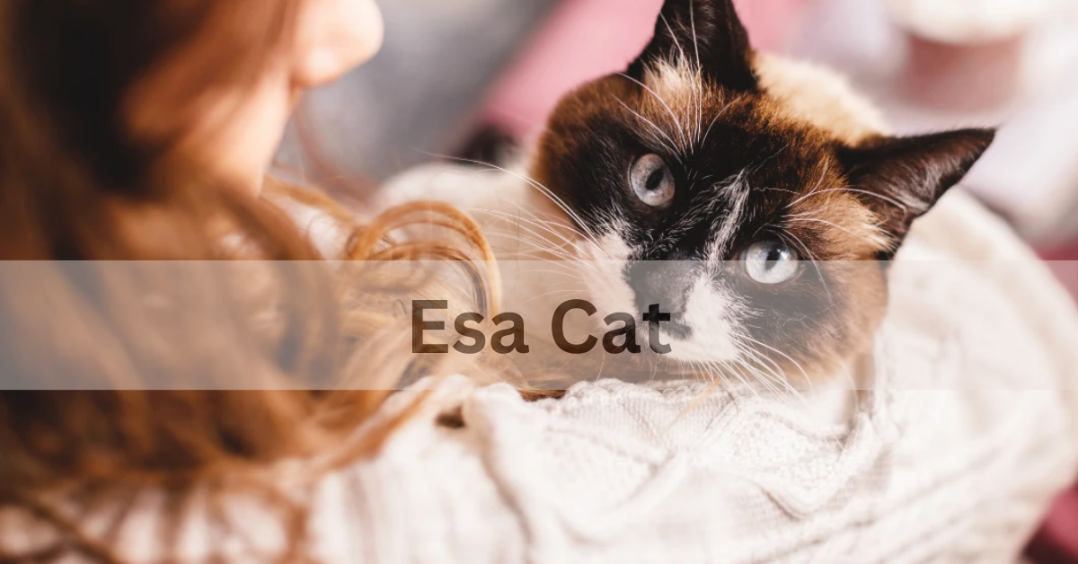 Esa Cat