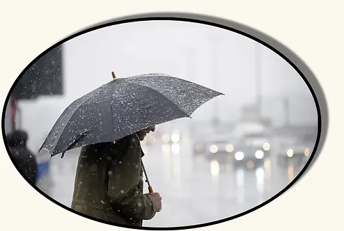 The Power of Poetry on Rainy Days