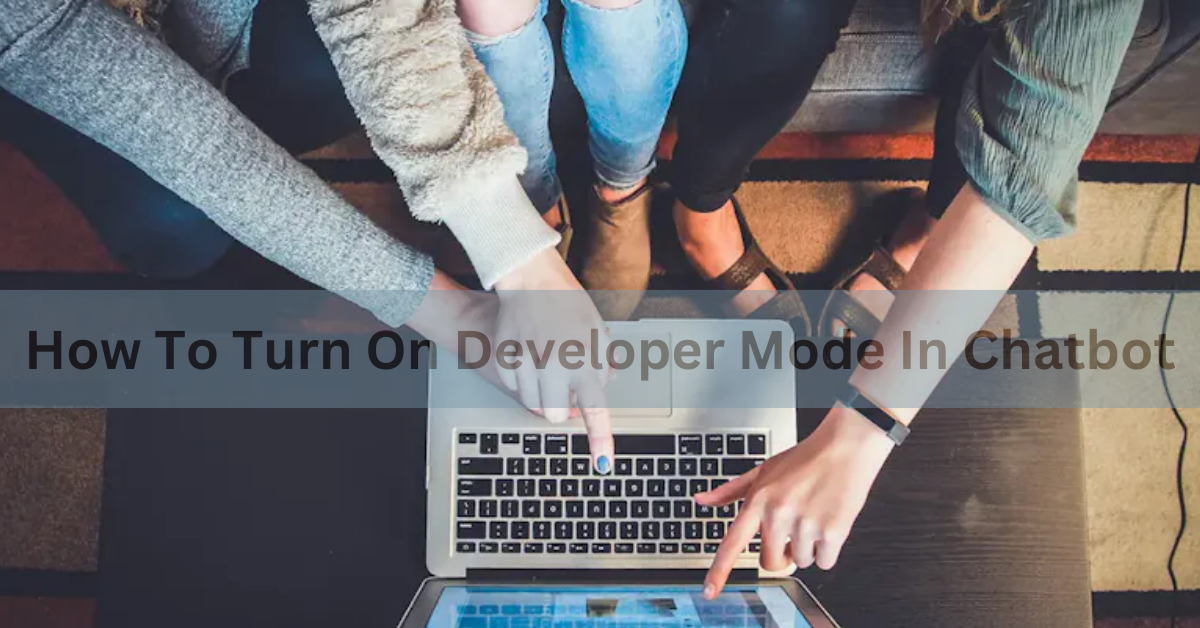 How To Turn On Developer Mode In Chatbot 